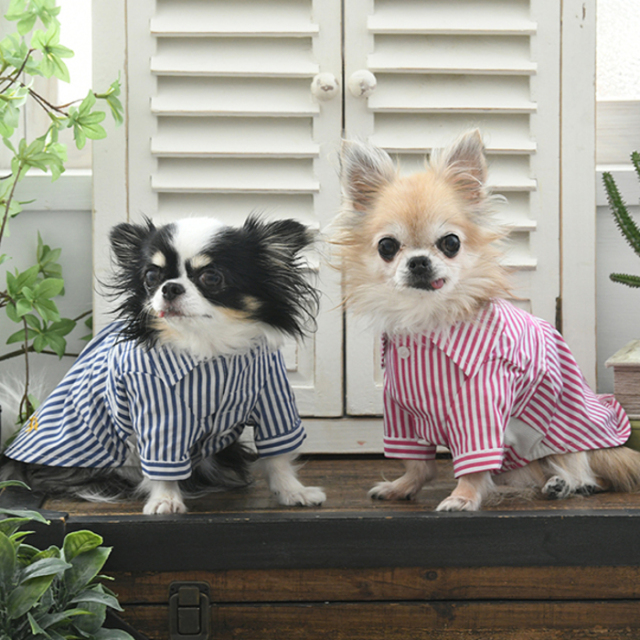 在庫限り】ROPE' PICNIC ストライプシャツ Pets-first ONLINESTORE