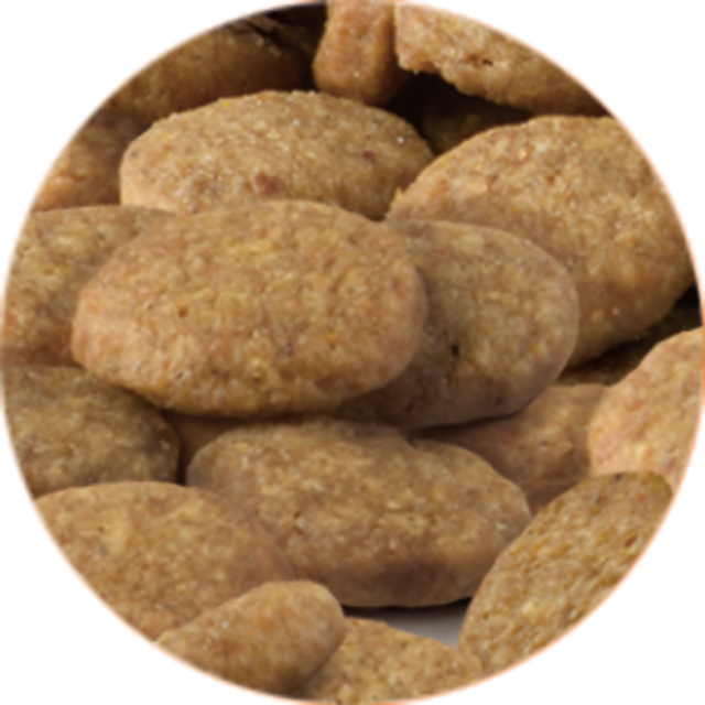 セレクトバランス グレインフリー 猫アダルト チキン 小粒【1才以上の