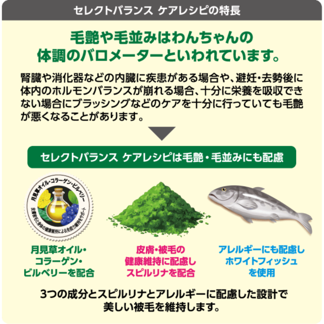 セレクトバランス