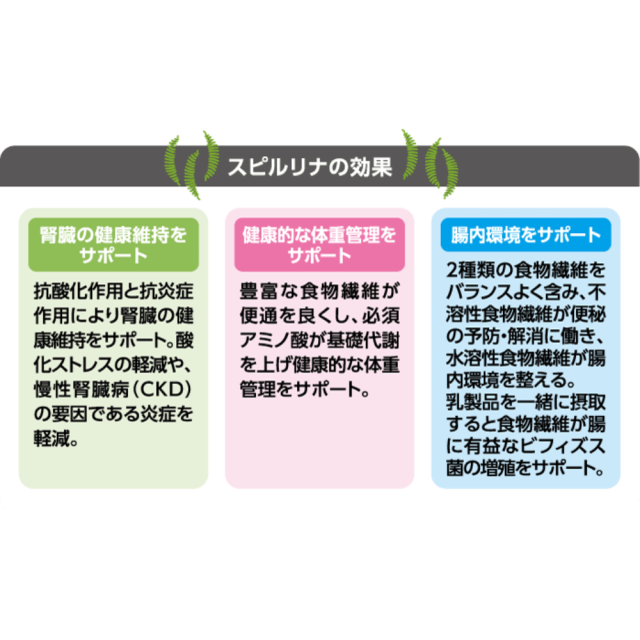 セレクトバランス