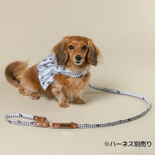 Urukari JUICY PORK &ベジとヤギミルク yappy!】ヘルシーブロッコリーポタージュ（ハイグレード