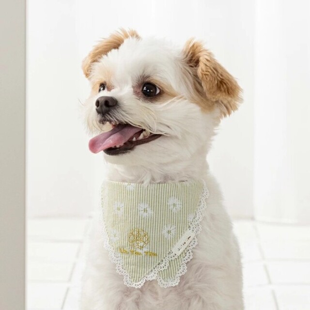 【新品未開封】犬用ケージ　ウッドワンサークル　天井ネット付　ホワイト ボンビアルコン オンラインショップ / ウッドワンサークル