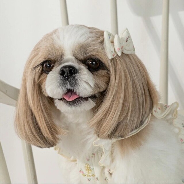 【新品未開封】犬用ケージ　ウッドワンサークル　天井ネット付　ホワイト ボンビアルコン オンラインショップ / ウッドワンサークル