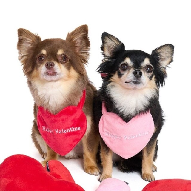 * vintage dog ♡ ハートのワンポイント キュートな ワンちゃん ライフライク リバーシブルハートスタイ/S Pets-first ONLINESTORE