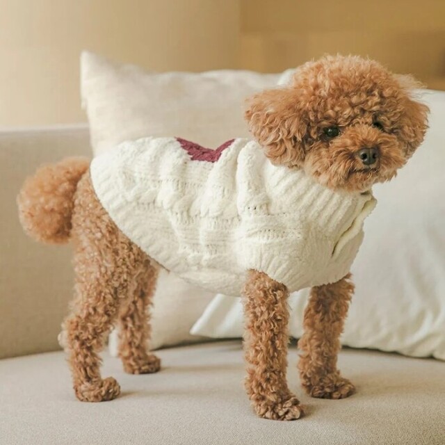gelato pique ジェラートピケ ハートアランハイネックプルオーバー 犬 gelato pique ハートアランハイネックプルオーバー Pets-first