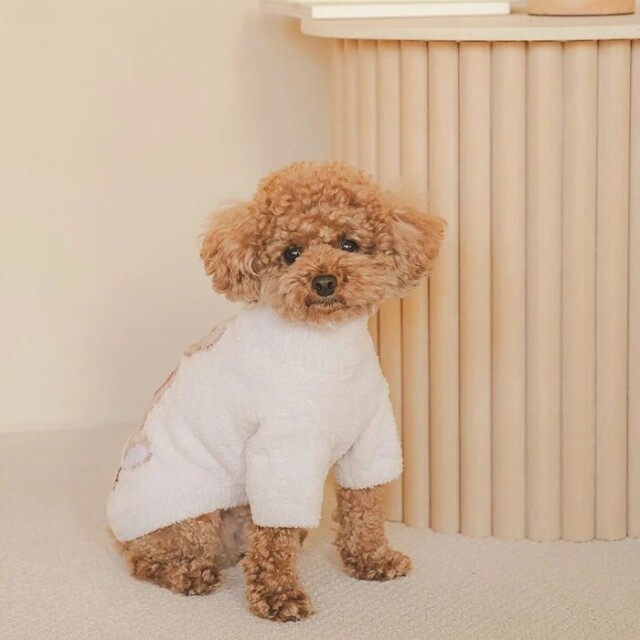 gelato pique ハートベアジャガードハイネックプルオーバー Pets