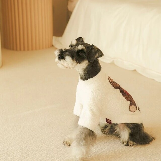 gelato pique ハートベアジャガードハイネックプルオーバー Pets-first