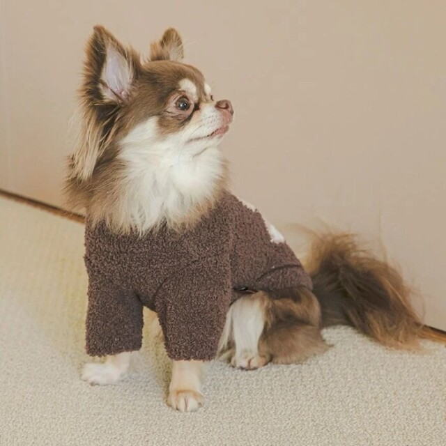 gelato pique ハートベアジャガードハイネックプルオーバー Pets-first