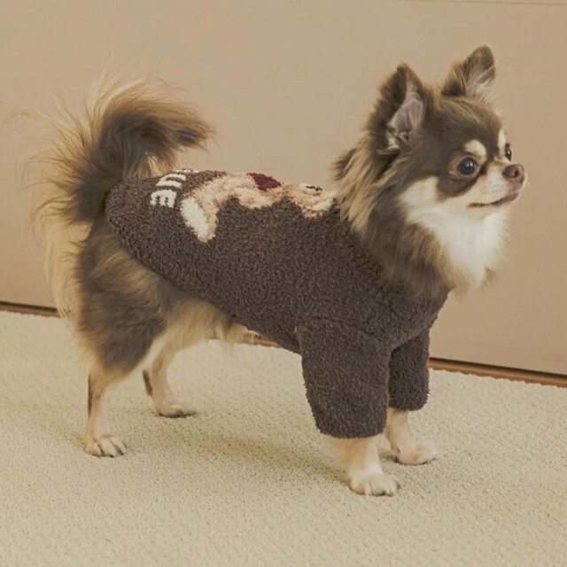 gelato pique ハートベアジャガードハイネックプルオーバー Pets-first