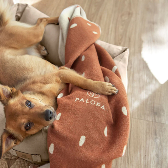 【PALOPA】Dog Blanket Ida　（ドッグブランケット）