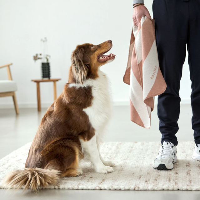 【PALOPA】Dog Blanket Ida　（ドッグブランケット）