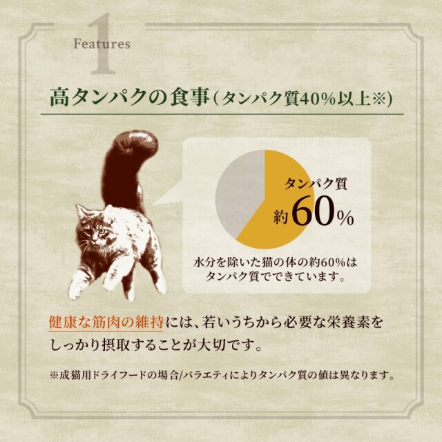 ニュートロ ワイルドレシピ アダルト チキン［成猫用］ Pets-first