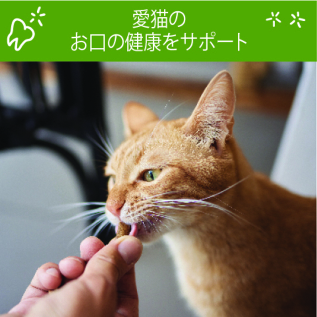 【WHIMZEES】ウィムズィーズ　猫用 チキン＆サーモン 56g