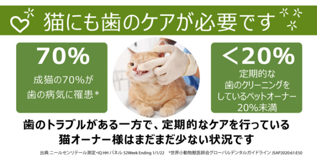 【WHIMZEES】ウィムズィーズ　猫用 チキン＆ツナ 56g