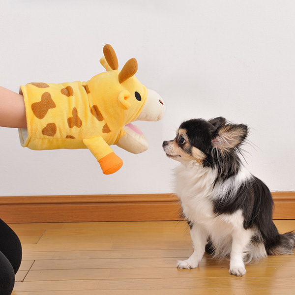 アニマルミトン