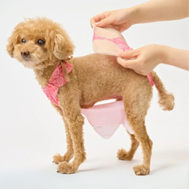 【anifull】キズぐちエプロン