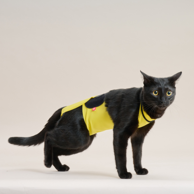 anifull】キズぐちエプロン（猫用） Pets-first ONLINESTORE