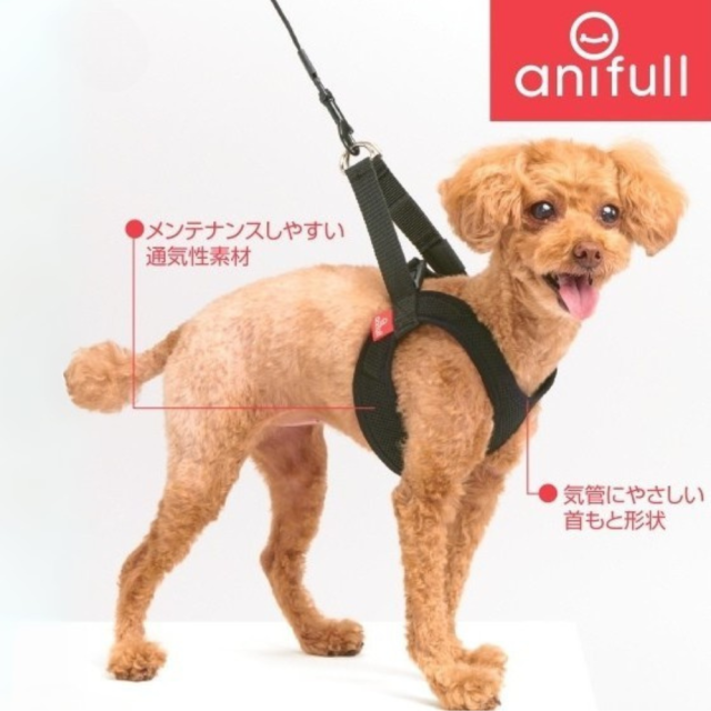 【anifull】アニサポ　ハーレスト