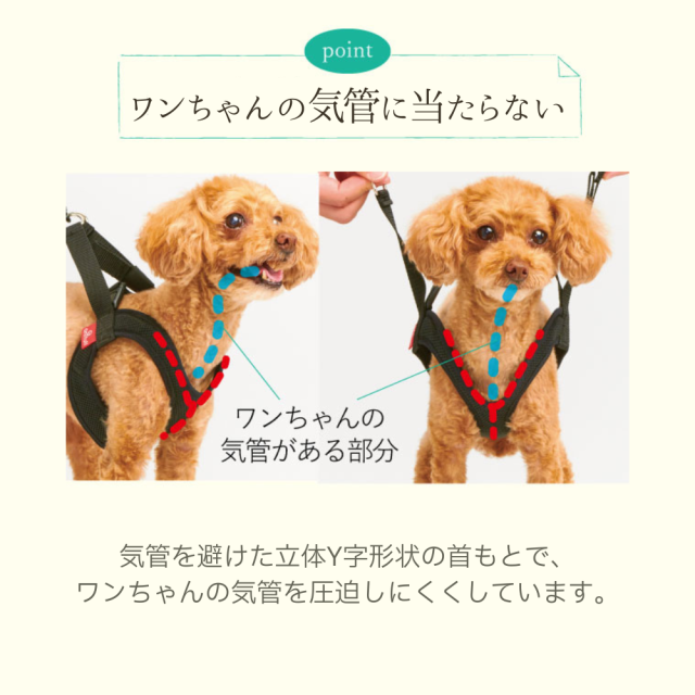 【anifull】アニサポ　ハーレスト