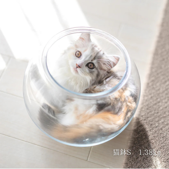 Catis】割れない猫鉢 Pets-first ONLINESTORE