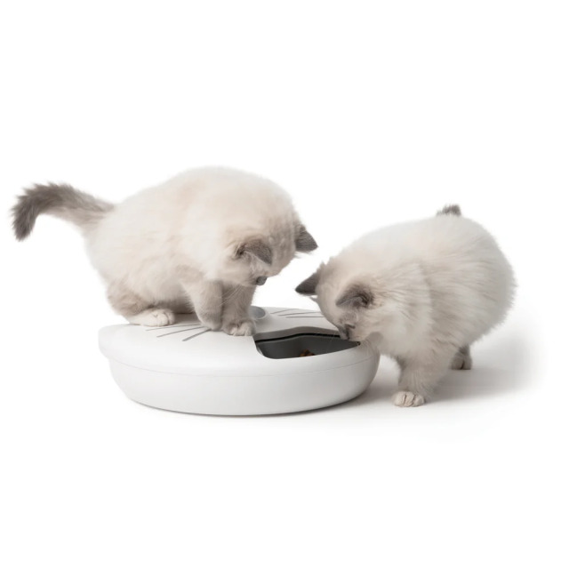 Catit Pixi スマート 6ミールフィーダー 楽天市場】ペット 給餌器 Catit（キャットイット
