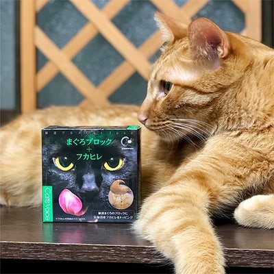 キャットヴォイス【フカヒレ】