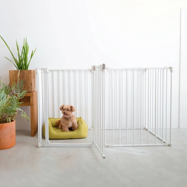 CITY DOG】シンプルモダンケージ&フロアマットセット Pets CITY DOG】シンプルモダンケージ&フロアマットセット Pets