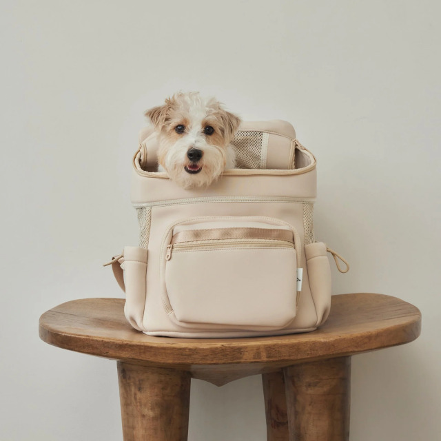CITY DOG_ネオプレーンバックパックキャリー
