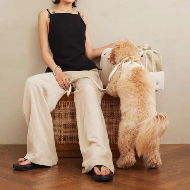 CITY DOG_ネオプレーンボストンキャリー