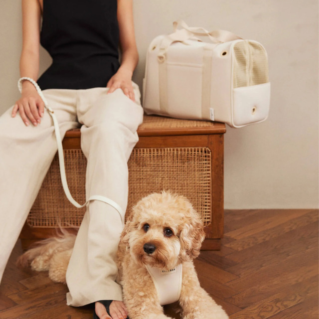 CITY DOG_ネオプレーンボストンキャリー