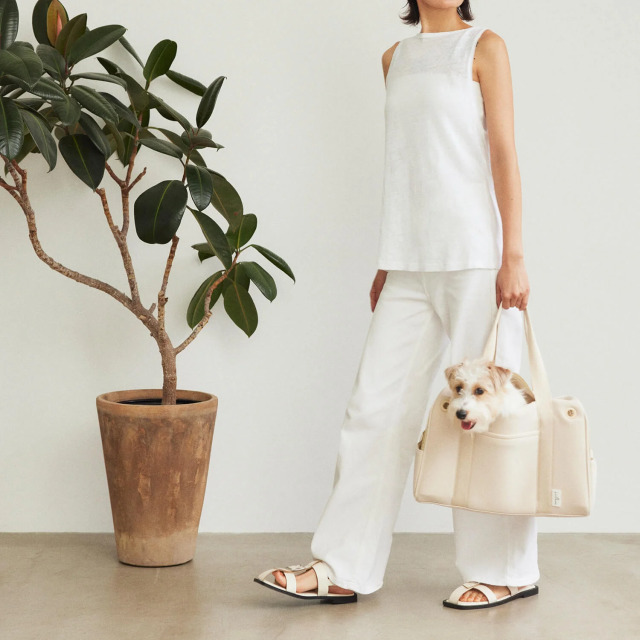 CITY DOG】ネオプレーンボストンキャリー Pets-first ONLINESTORE