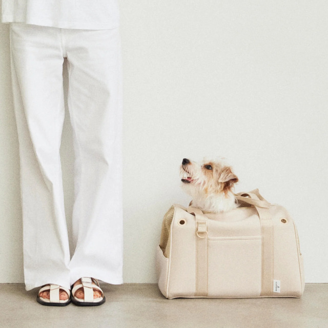 CITY DOG】ネオプレーンボストンキャリー Pets-first ONLINESTORE