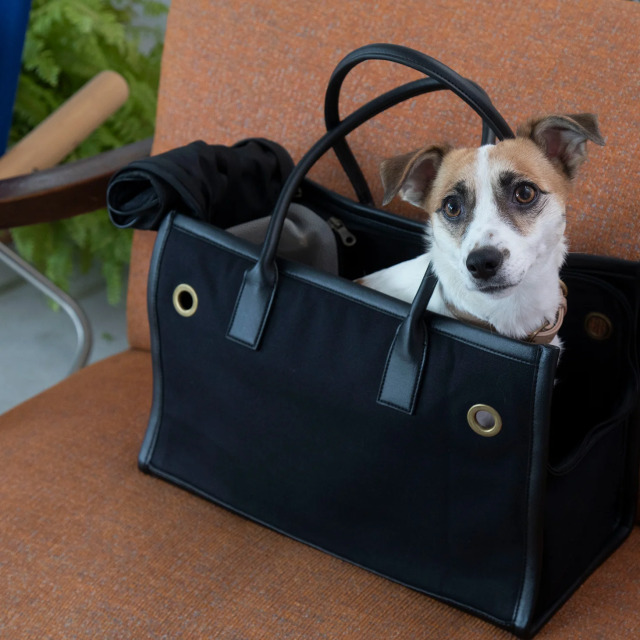 CITY DOG_パイピングトートキャリー【M】