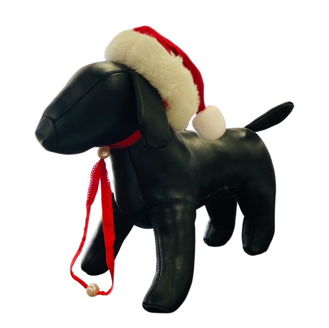 2021クリスマスキャンペーン
