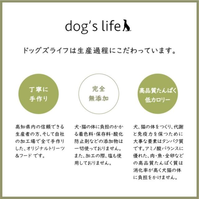 高知