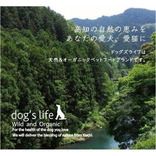 高知