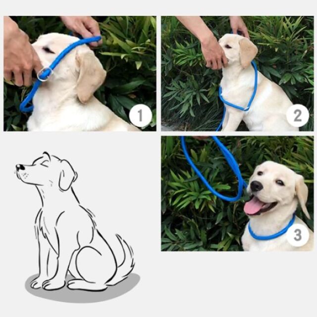 MIFAFAペット用ケア用品9点セット 避難 防災 Amazon.co.jp: 猫専用9点防災セット 猫好きの専門家が選ぶ災害