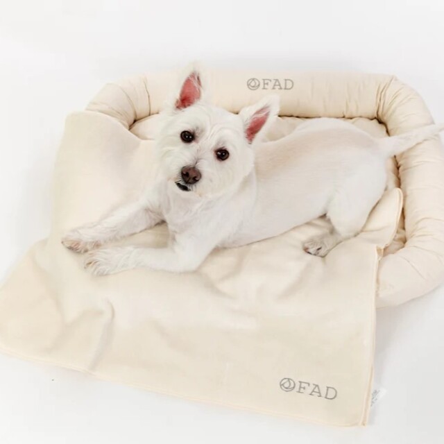 ダッドウェイ オーガニックブランケット