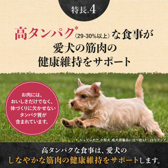 ニュートロ シュプレモ プレミアムブレンド ビーフ 超小型犬～小型犬用