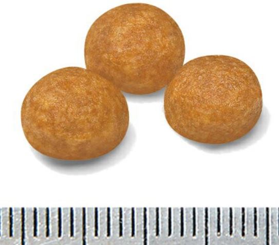 ロイヤルカナンエクストラスモールアダルト粒