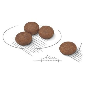 ロイヤルカナンミニダイジェスティブ粒