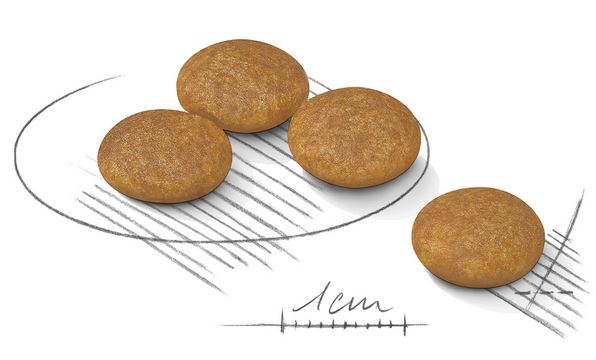 ロイヤルカナンミニダーマコンフォート粒