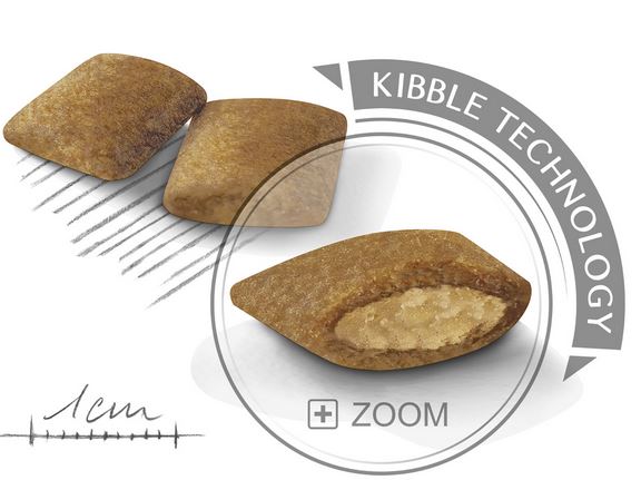 ロイヤルカナンミニエクシジェント粒