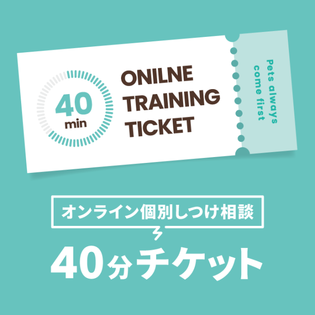 オンライン個別しつけ相談】60分チケット Pets-first ONLINESTORE