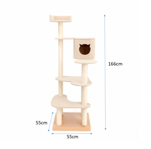 THI THI PET　エースコフレ