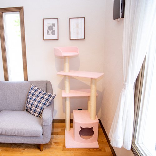 THI THI PET　コリーヌ