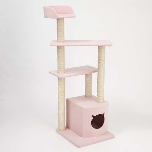 THI THI PET　コリーヌ