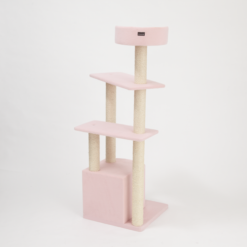 THI THI PET　コリーヌ