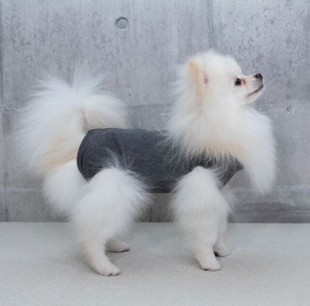 遠赤外線マイカヒーター2 Pets-first ONLINESTORE
