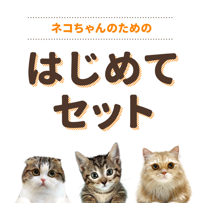 ☆ ペッツファースト ☆ペット用品 子犬 用37点まとめ商品 ☆ ペッツ
